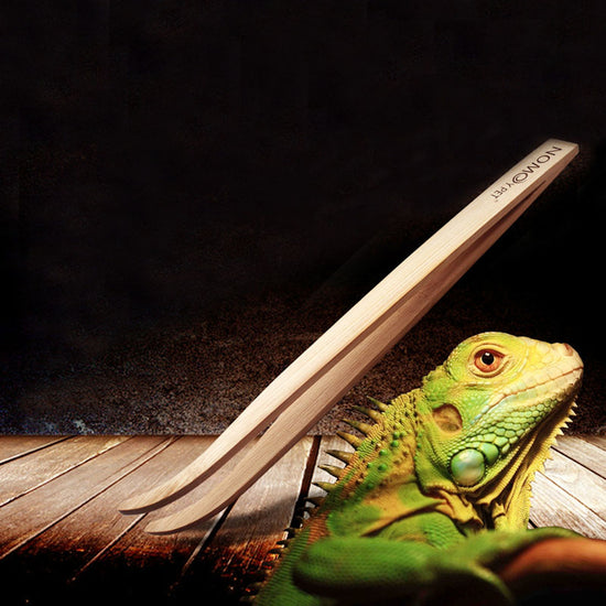 Bamboo Reptile Feeding Tongs