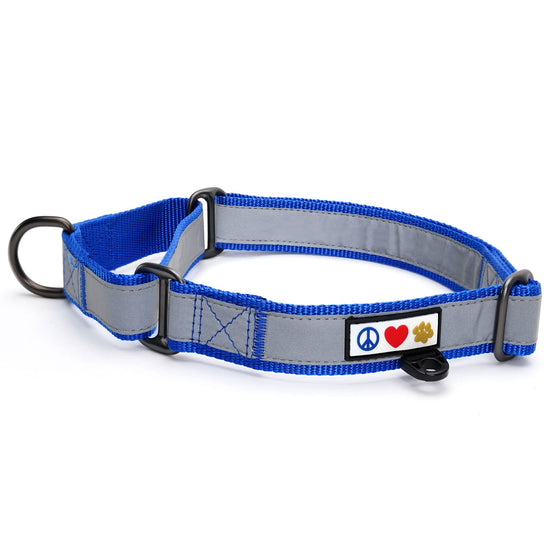 Martingale Dog Collar
