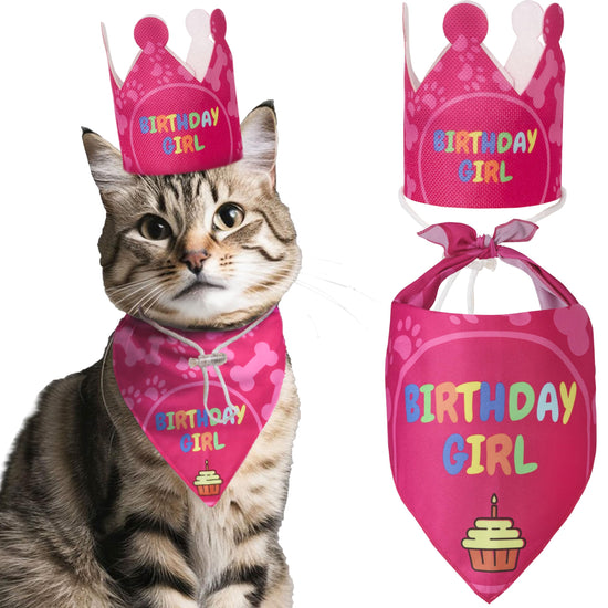 Cat Birthday Hat and Bandana Set