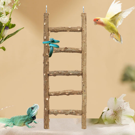 Natural Wood Bird Climbing Ladder