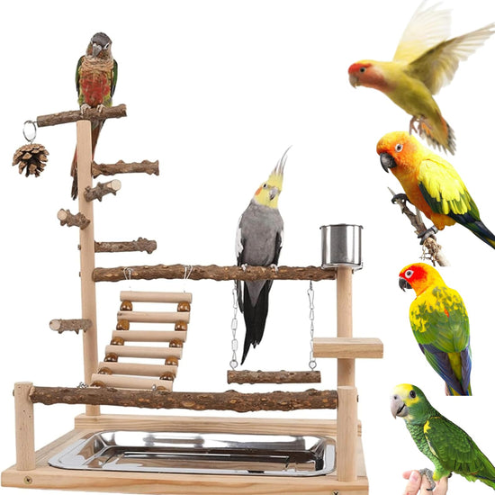 Wooden Bird Playground Stand with Feeder Cups