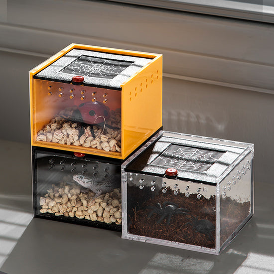 Acrylic Reptile Enclosure