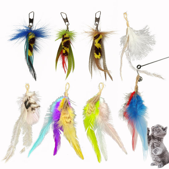 Feather Cat Wand Toy Replacements - 8 Pack