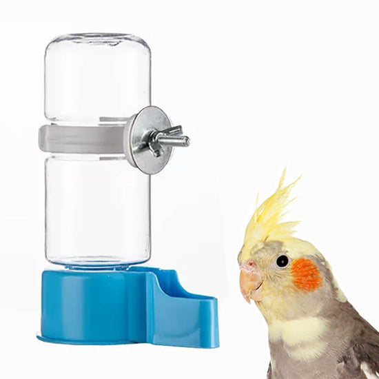 Automatic Bird Water Dispenser for Cages