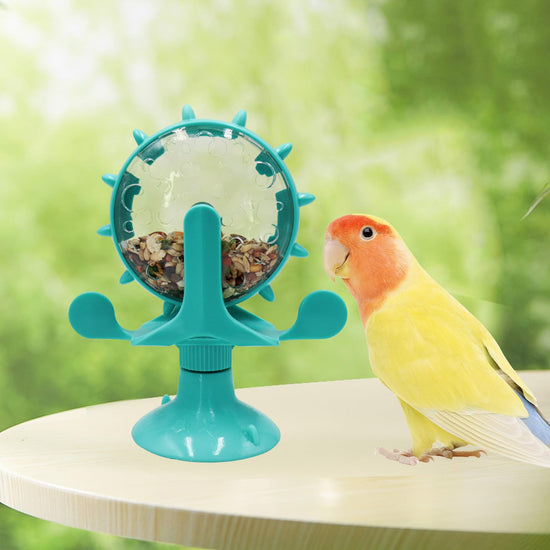 Rotating Bird Foraging Toy