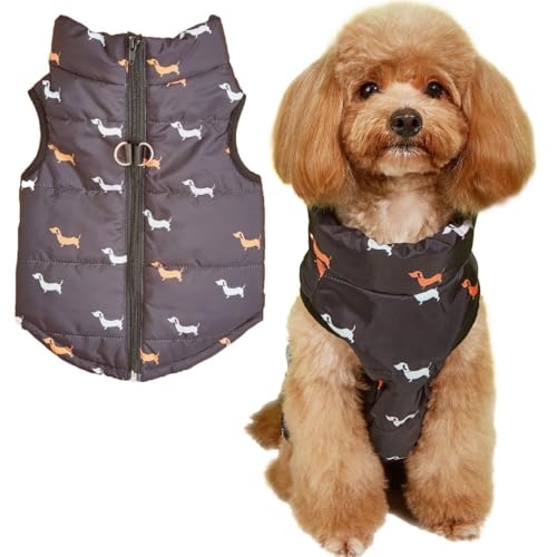 Warm Dog Jacket with D-Ring