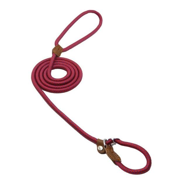 Fins, Feathers & Fur Nylon Pup Set