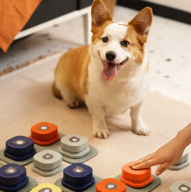 Colorful pet toy from Fins, Feathers & Fur, featuring a plush, squeaky design suitable for cats and dogs to play
